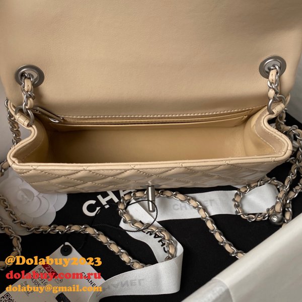 Luxury CC FLAP BAGS 20CM AS1787 SILVER BALL