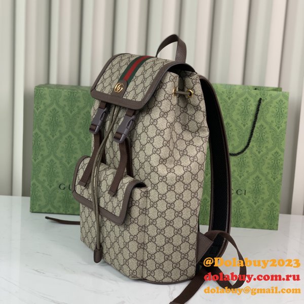 Luxury gucci Ophidia GG backpack 792114