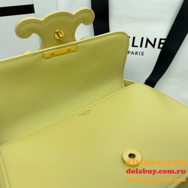 1:1 Replica Celine Triomphe Teen Luxury Handbag