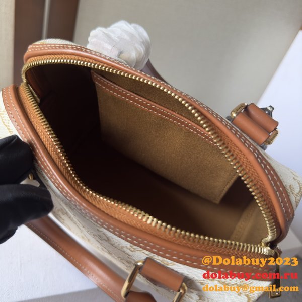 Luxury Celine 197582 Triomphe Small Boston Bag