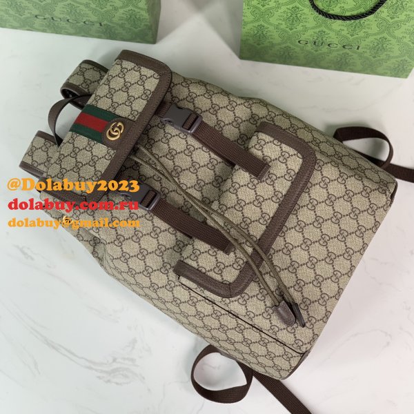 Luxury gucci Ophidia GG backpack 792114