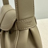 Top Quality Celine POLLY Triomphe 115633 handbag