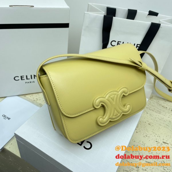 1:1 Replica Celine Triomphe Teen Luxury Handbag