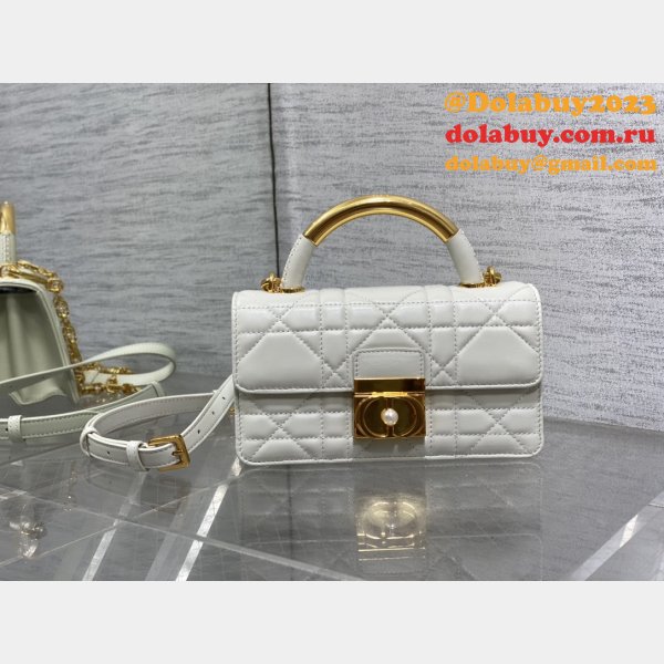 Dior 1:1 Mirror 3112 Anage Chain Handle Replica Bag