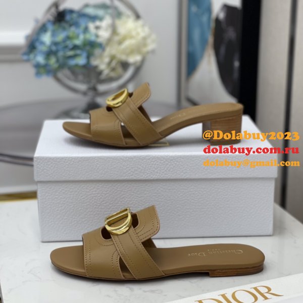 Top Quality Replica Christian Dior AW Montaigne CD Shoes