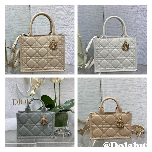 Luxury Designer dior small /mini dior book tote 2024