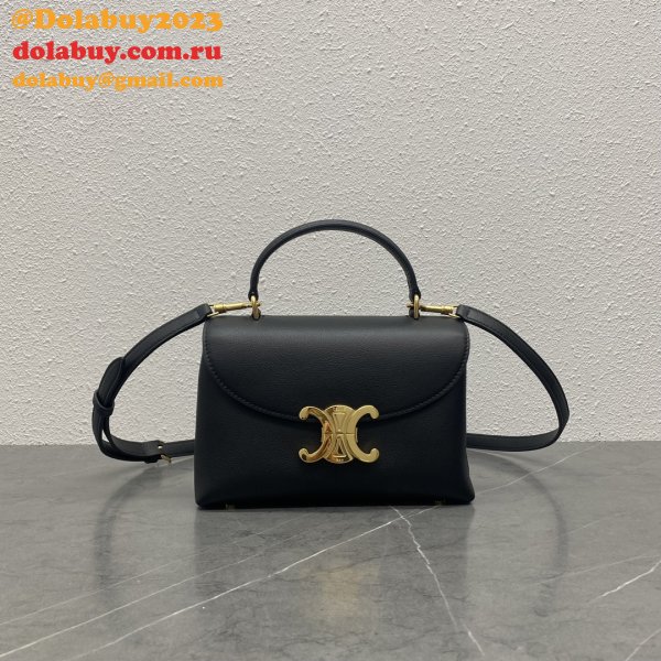 Luxury celine TRIOMPHE 20CM kelly BAG 118113