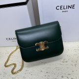 Designer Teen Triomphe Shiny 113583 Amazone Celine Replica Bag