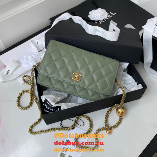 Replica 19CM Iridescent Wallet On Chain WOC AP1450 Bag