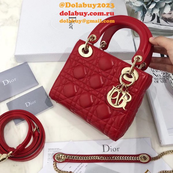 AAA+ Christian Lady Dior Handbags Online Purchase MINI 17CM