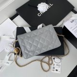 Replica 19CM Iridescent Wallet On Chain WOC AP1450 Bag